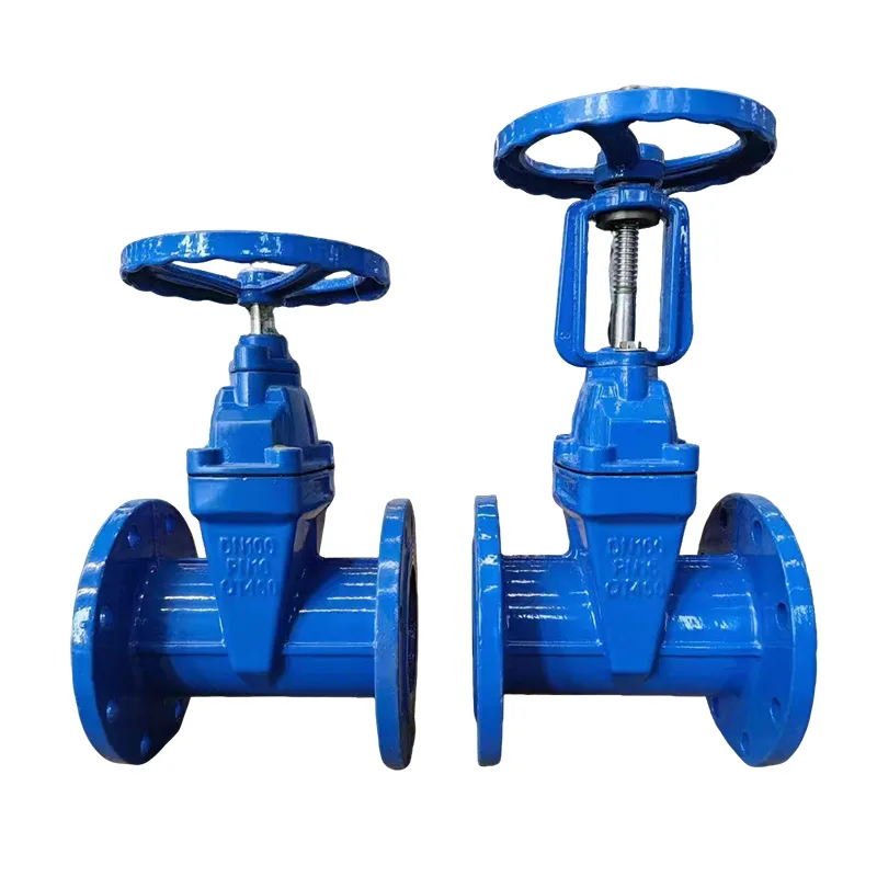 इलास्टिक सीट सीलिंग गेट