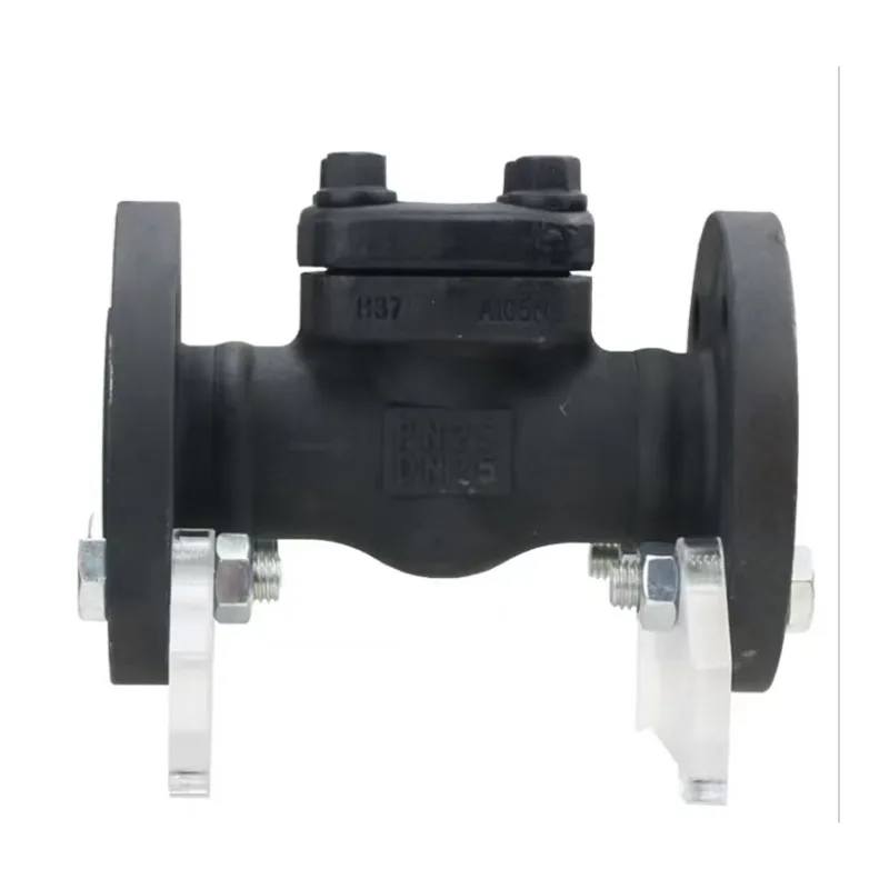 जाली स्टील चेक वाल्व