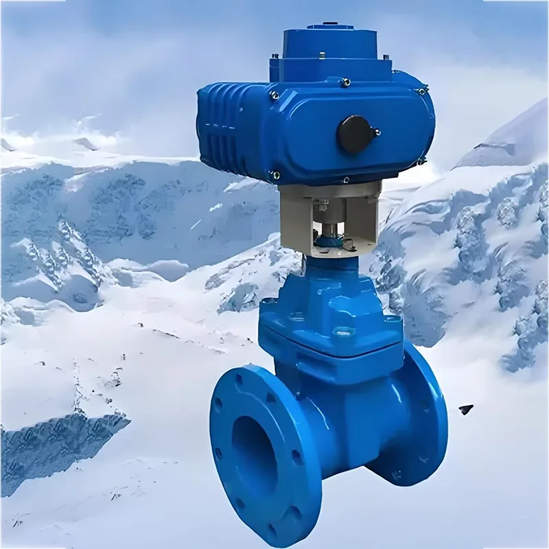 Pneumatic Gate Valve