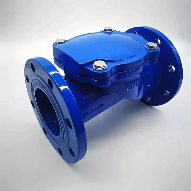 रबर फ्लैप चेक वाल्व